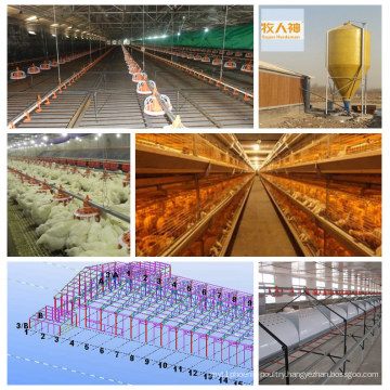 Automatic Equipment in Poultry House with Low Price